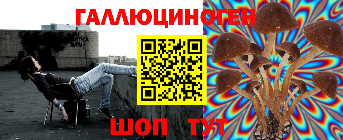 Галлюциногенные грибы Psilocybe  Вход с VPN  Озёры 